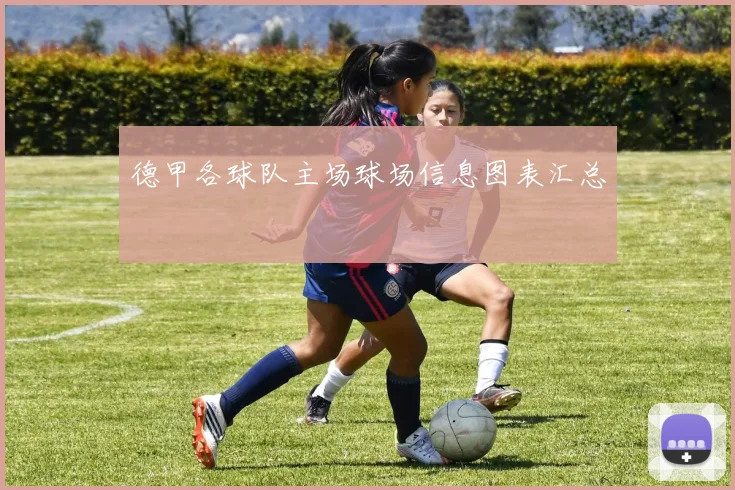 德甲各球队主场球场信息图表汇总