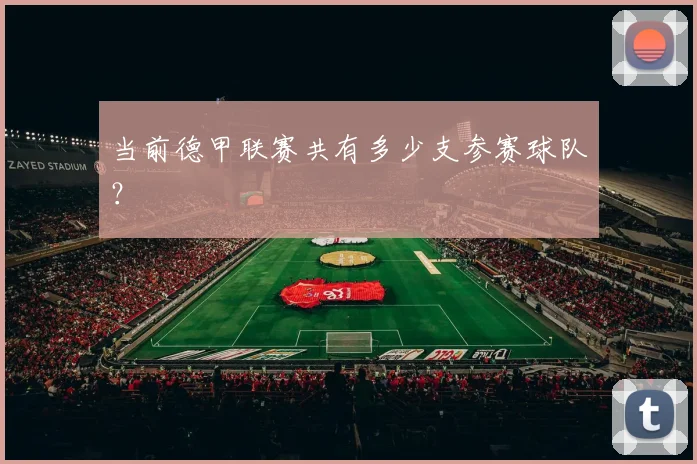 当前德甲联赛共有多少支参赛球队？