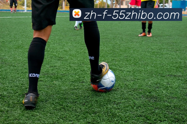 55直播平台生态图